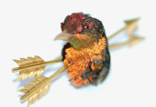Brooch made from gold and a taxidermy hummingbird head.