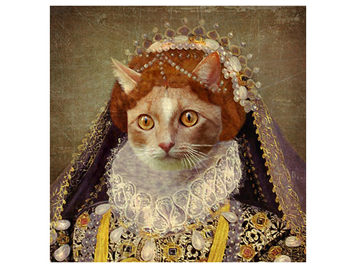 Queen Cat